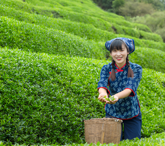 Untitled design (12)