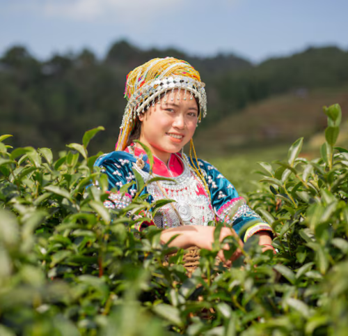 Untitled design (14)